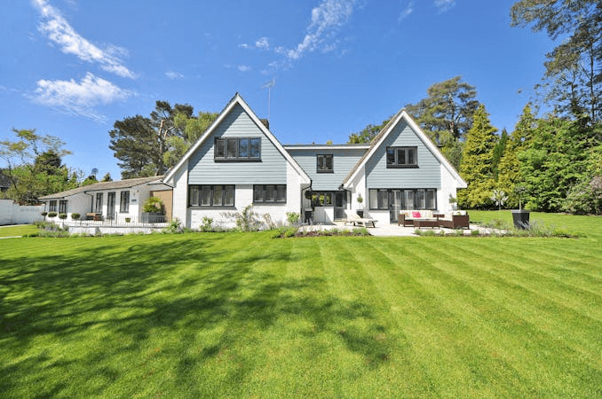 Why Hire a Local, Insured Tree Service in the Sierra Foothills