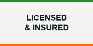 Licensed & Insured — Tree Climber Unlimited